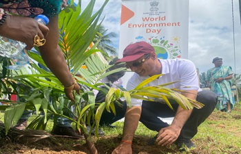Celebration of World Environment Day 2025